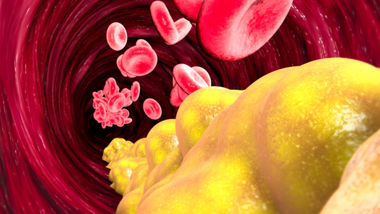 Quante Calorie Brucia un Chilo di Muscoli? Come Sfatare il più Grande Mito del Metabolismo